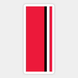 Haas Racing Stripes - 2022 Season Sticker